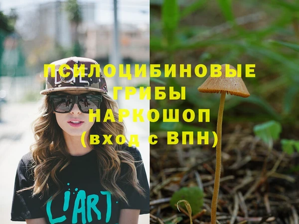 хмурый Волоколамск